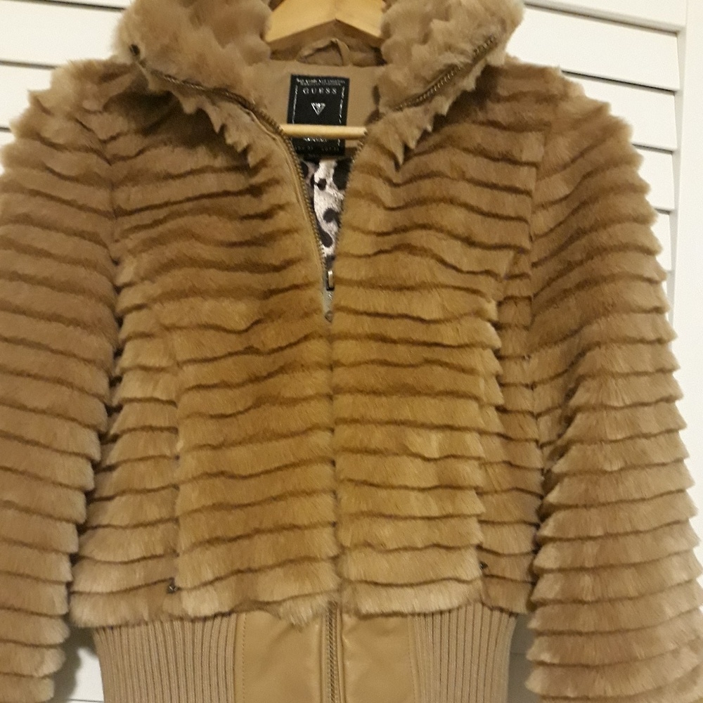 Jacket - Picture 2 of 2